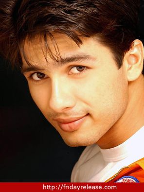 Shahid Kapoor Photo