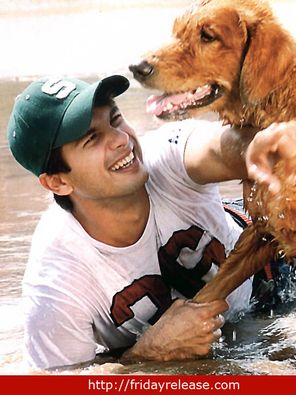 Shahid Kapoor Photo