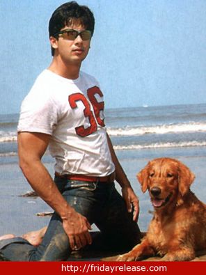 Shahid Kapoor Photo
