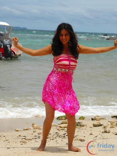 Shraddha Arya Photo