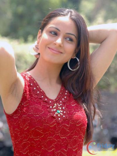 Shraddha Arya Photo