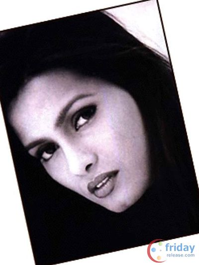 Diana Hayden Photo