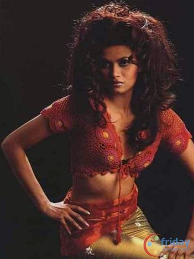 Diana Hayden Photo