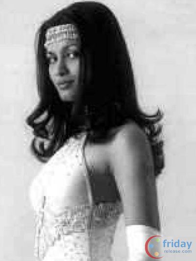 Diana Hayden Photo