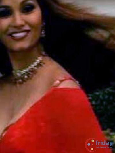 Diana Hayden Photo