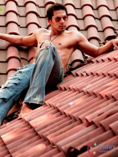 Dino Morea Photo
