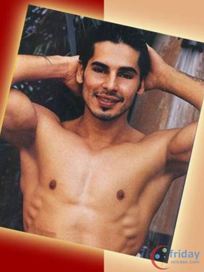Dino Morea Photo