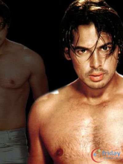 Dino Morea Photo