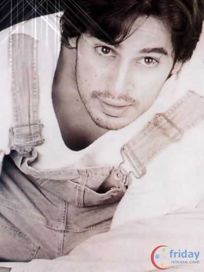 Dino Morea Photo
