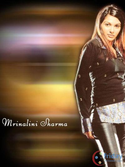 Mrinalini Sharma Photo