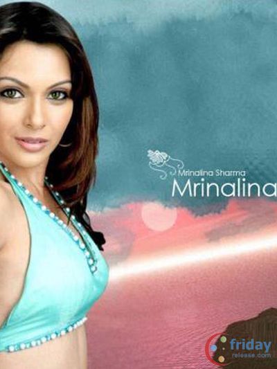 Mrinalini Sharma Photo