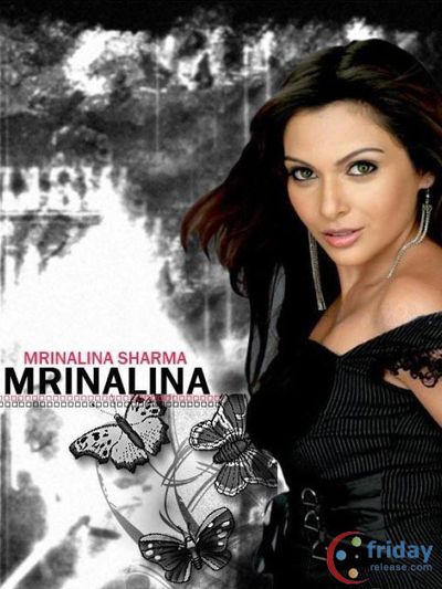 Mrinalini Sharma Photo