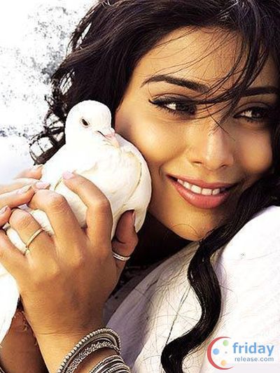 Shriya Saran Photo