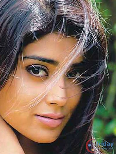 Shriya Saran Photo