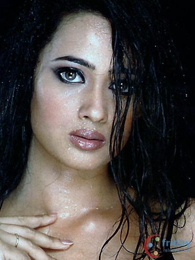 Shweta Tiwari Photo