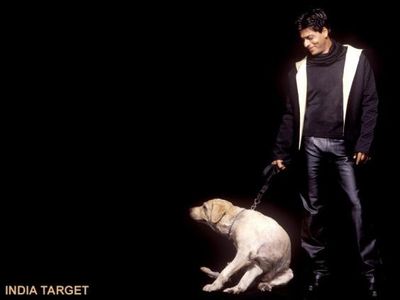 Shah Rukh Khan Photo