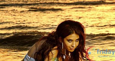 Sheena Nayar Photo