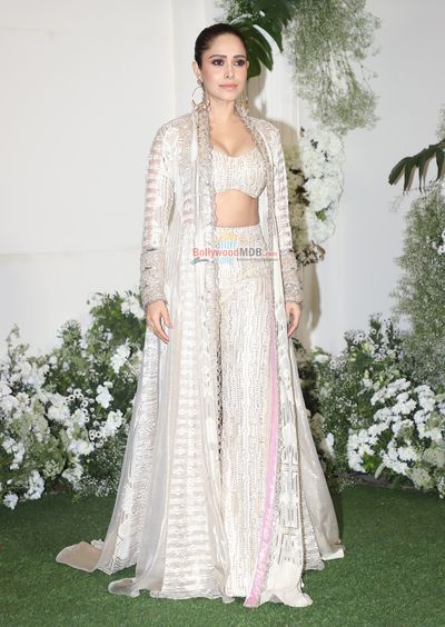 Nushrat Bharucha Photo