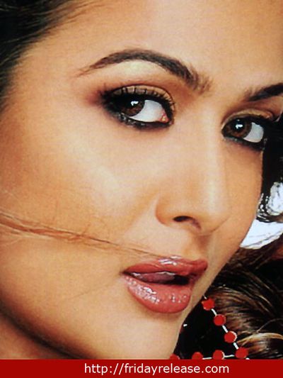Amrita Arora Photo