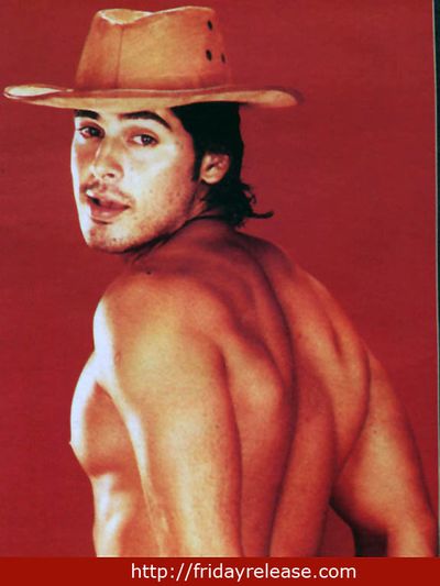 Dino Morea Photo