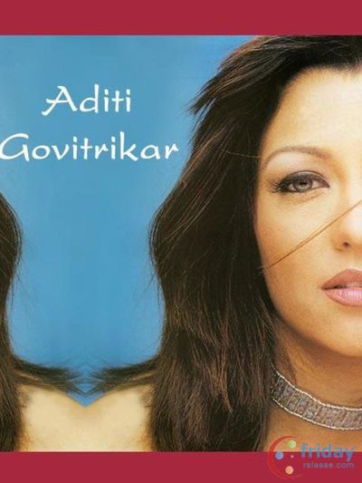 Aditi Govitrikar Photo