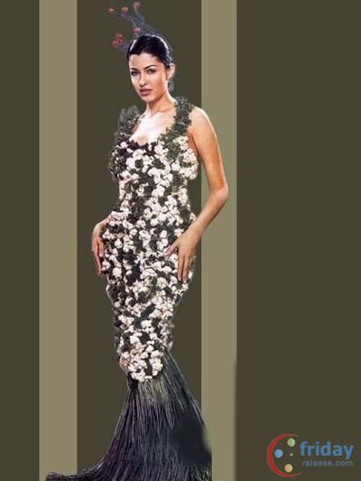 Aditi Govitrikar Photo