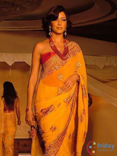 Aditi Govitrikar Photo