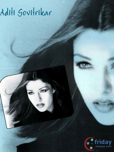 Aditi Govitrikar Photo