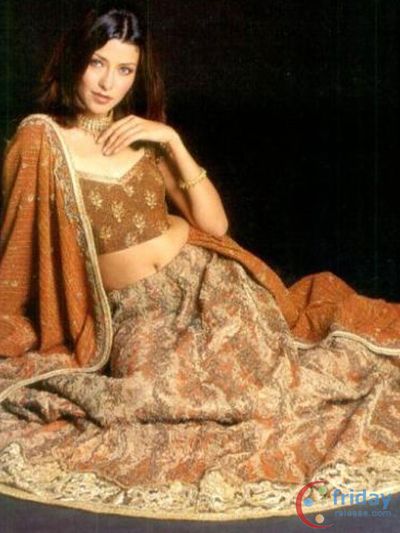 Aditi Govitrikar Photo