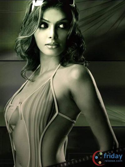 Sherlyn Chopra Photo