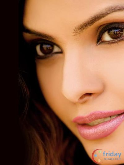 Sherlyn Chopra Photo