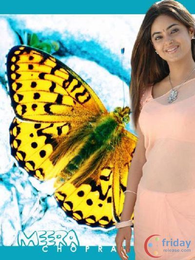 Meera Chopra Photo