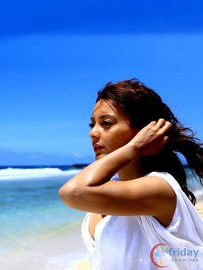 Minissha Lamba Photo