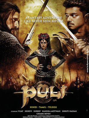 Puli