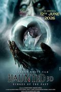 Haunted: Echoes Of The Past poster