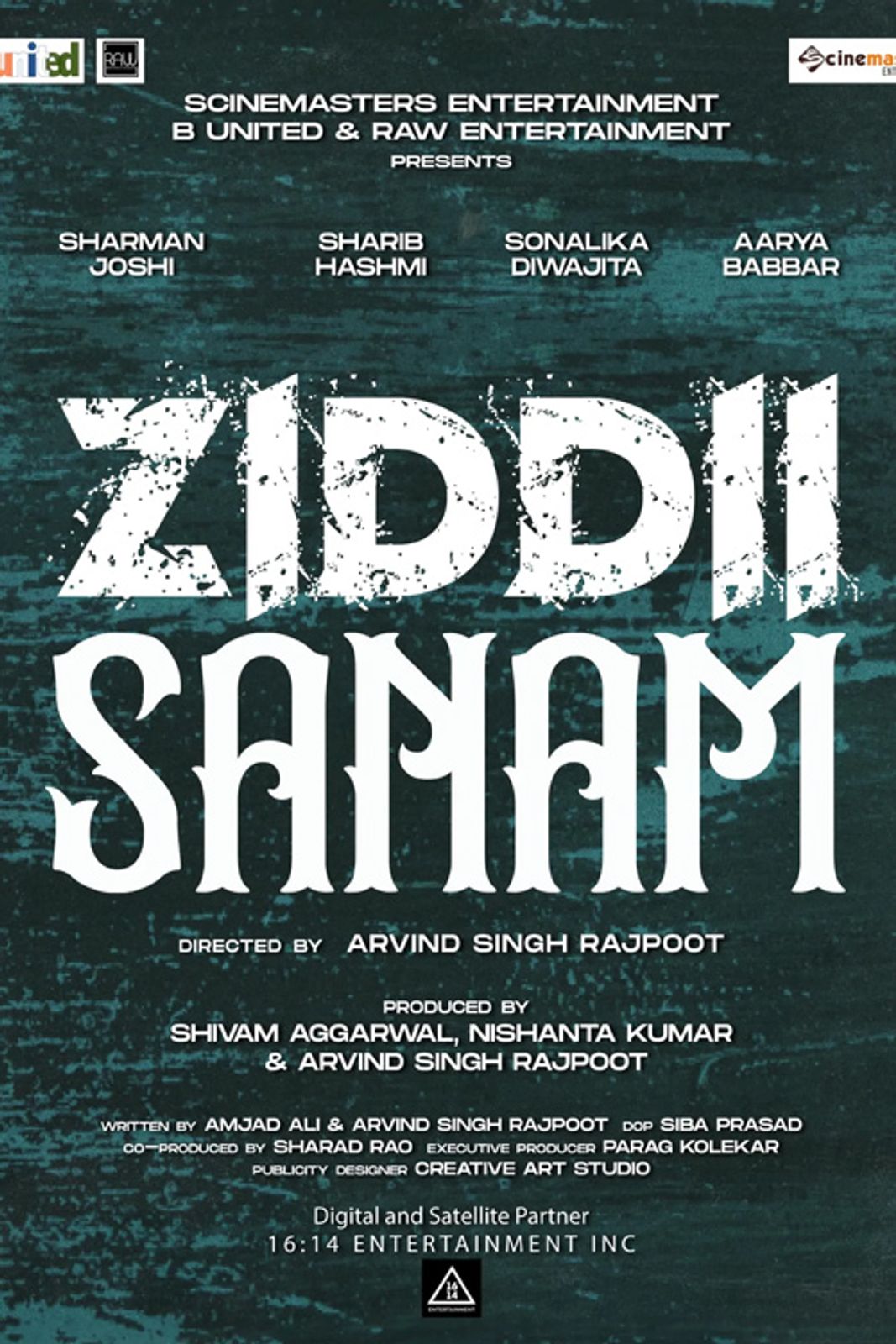 Ziddii Sanam banner