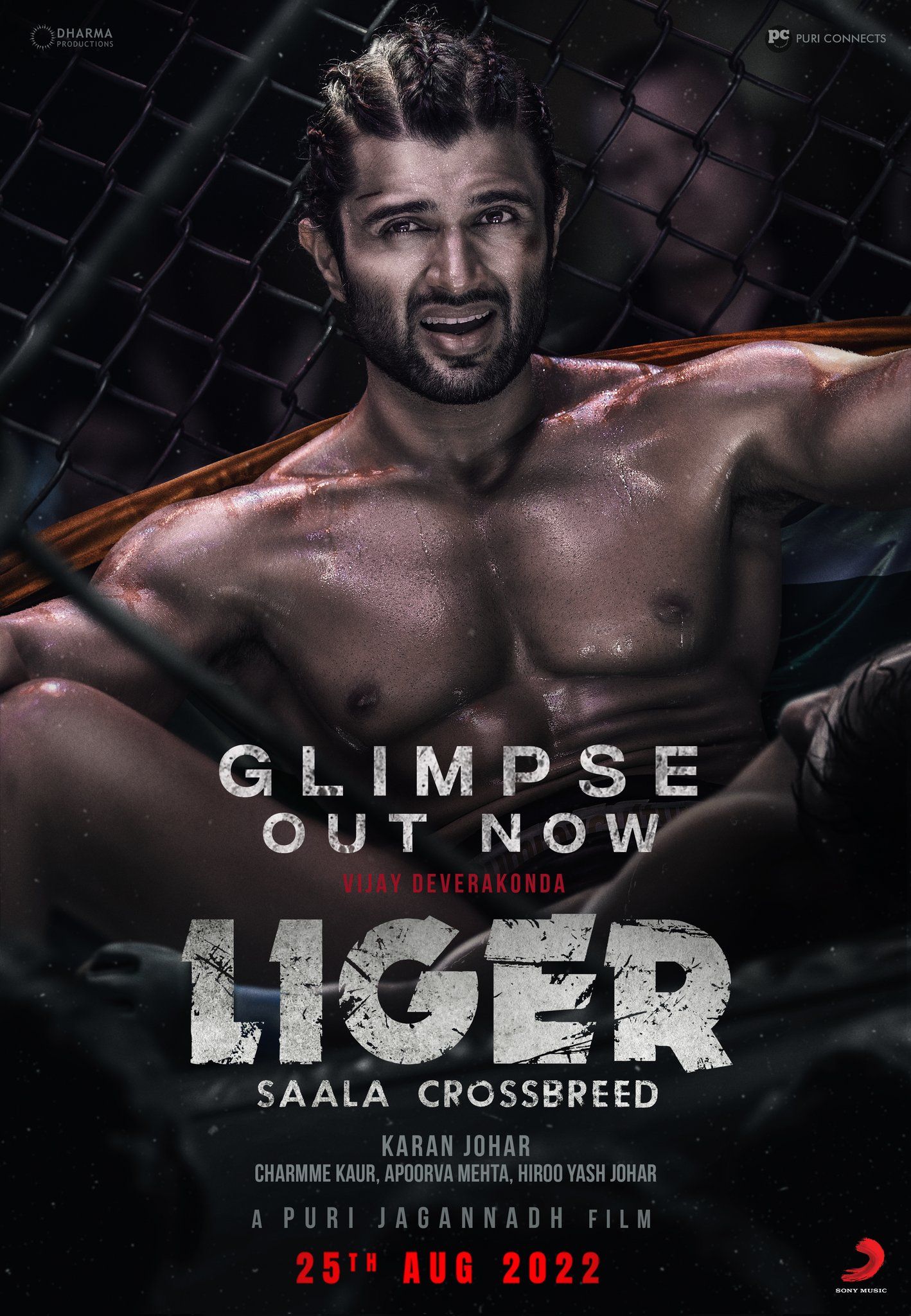 Download Liger (2022) Movie HD Official Poster 9 - BollywoodMDB