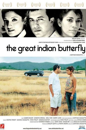 The Great Indian Butterfly