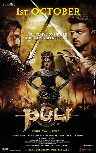 Puli