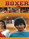 Boxer poster