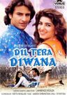 Dil Tera Deewana poster