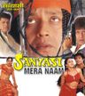 Sanyasi Mera Naam poster