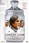 Cheeni Kum poster