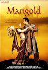 Marigold poster