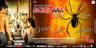 Makad Jaala poster