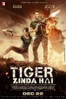 Tiger Zinda Hai poster