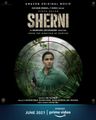Sherni poster