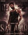 Salaar poster