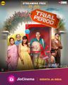 Trial Period poster