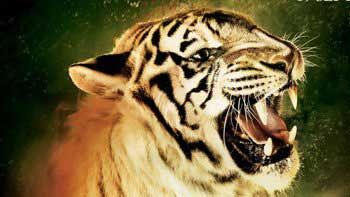 First Weekend Box-Office Collection of 'Roar'